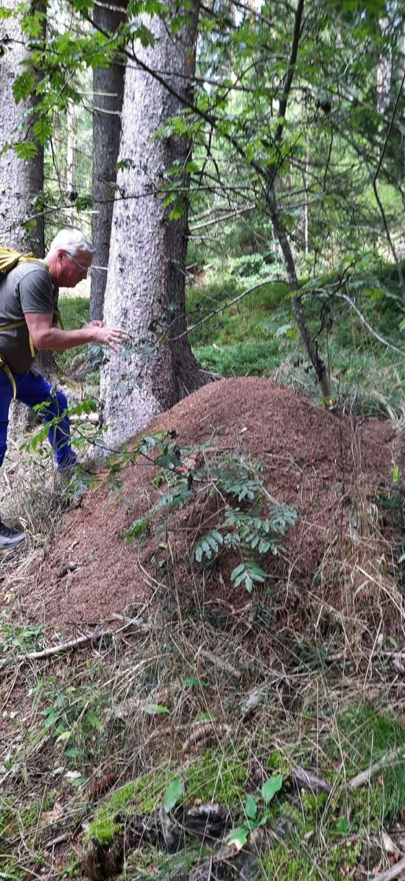 	14 3 Tage auf dem Schluchtensteig im Südschwarzwald